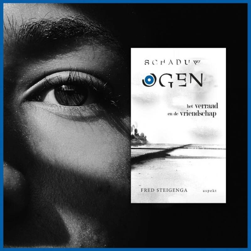 Boek Schaduwogen van Fred Steigenga.
