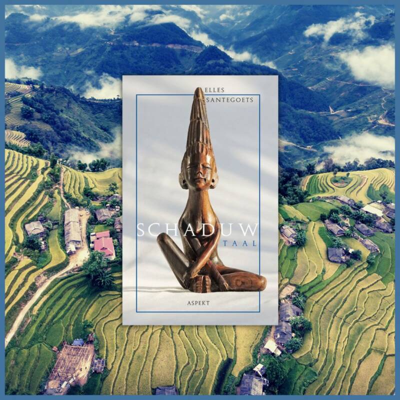 Boek Schaduwtaal van Elles Santegoets.