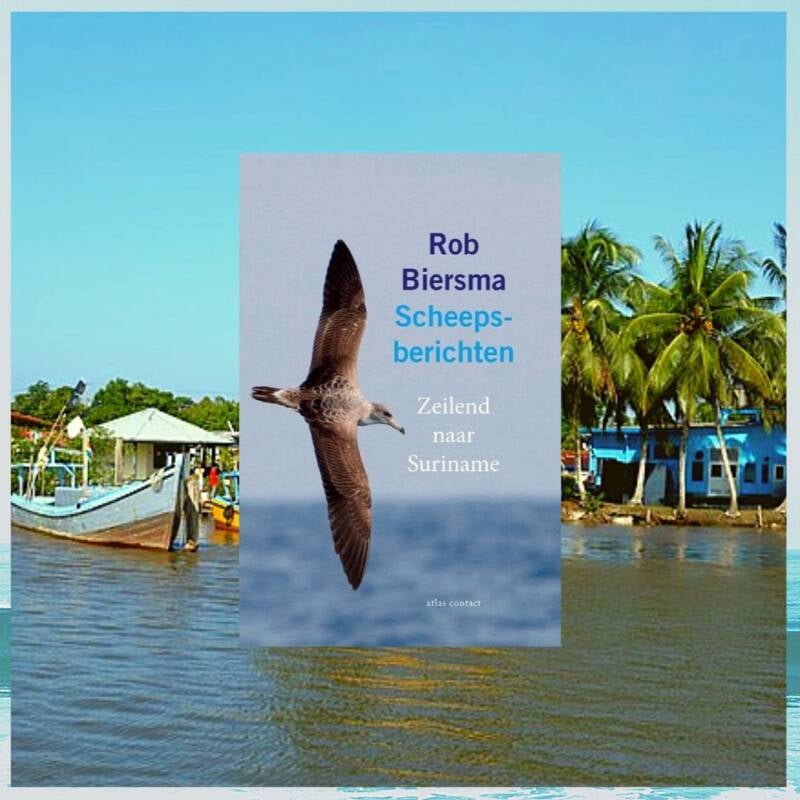 Boek Scheepsberichten van Rob Biersma.