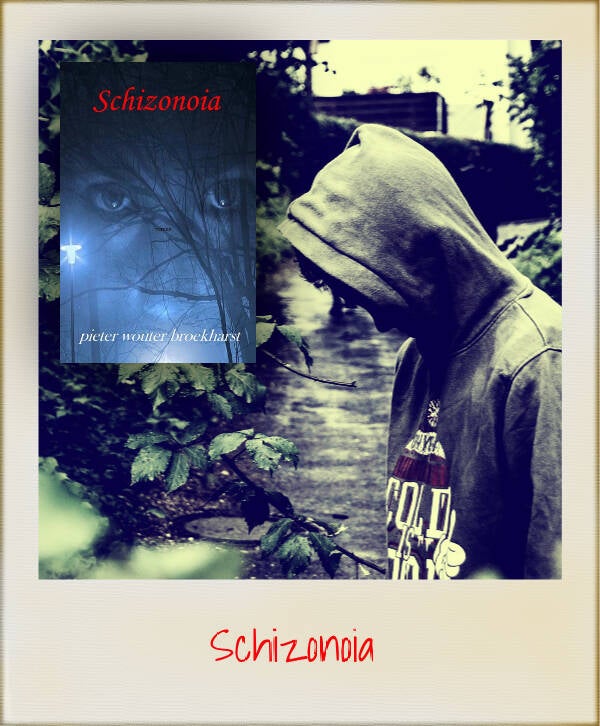 Boek Schizonoia van Pieter Wouter Broekharst.