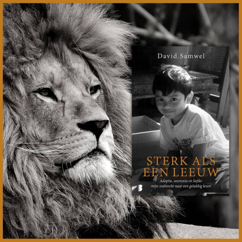 Boek Sterk als een leeuw van David Samwel.