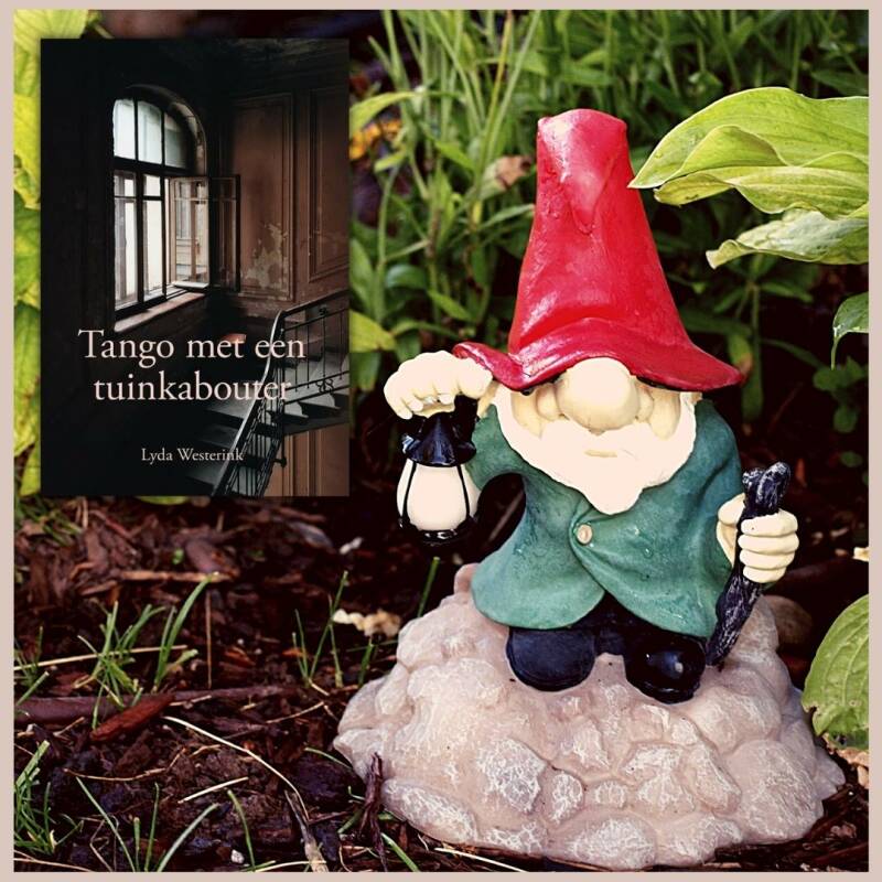 Boek Tango met een tuinkabouter van Lyda Westerink.