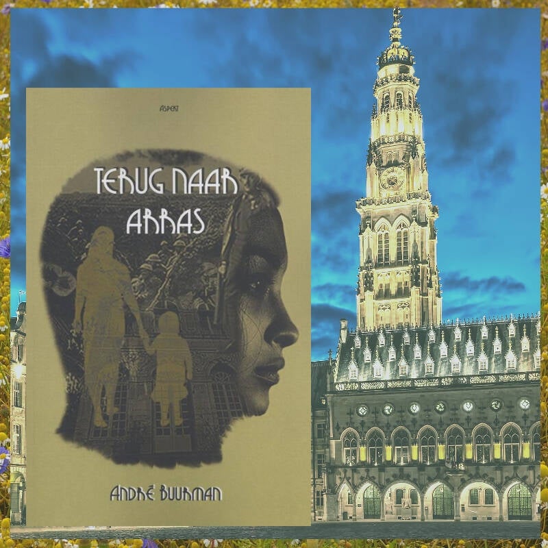 Boek Terug naar Arras van André Buurman.