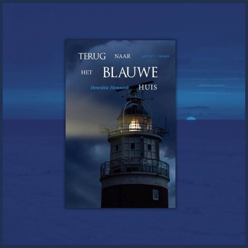 Boek Terug naar het blauwe huis van Henriëtte Hemmink.