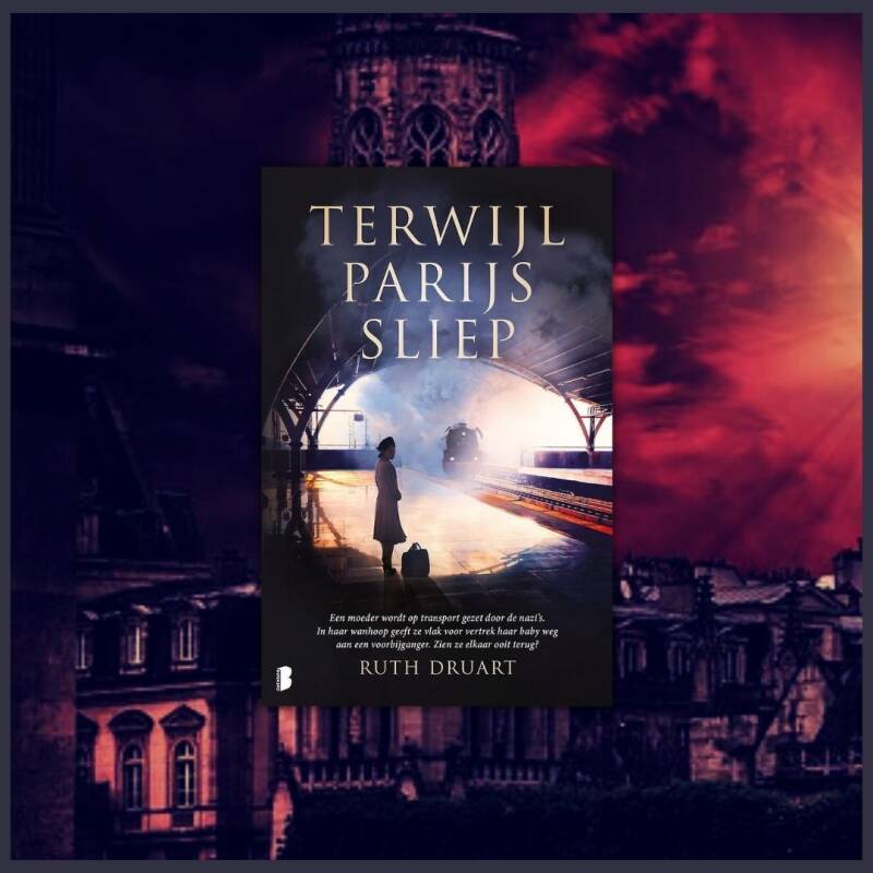Boek Terwijl Parijs sliep van Ruth Druart.