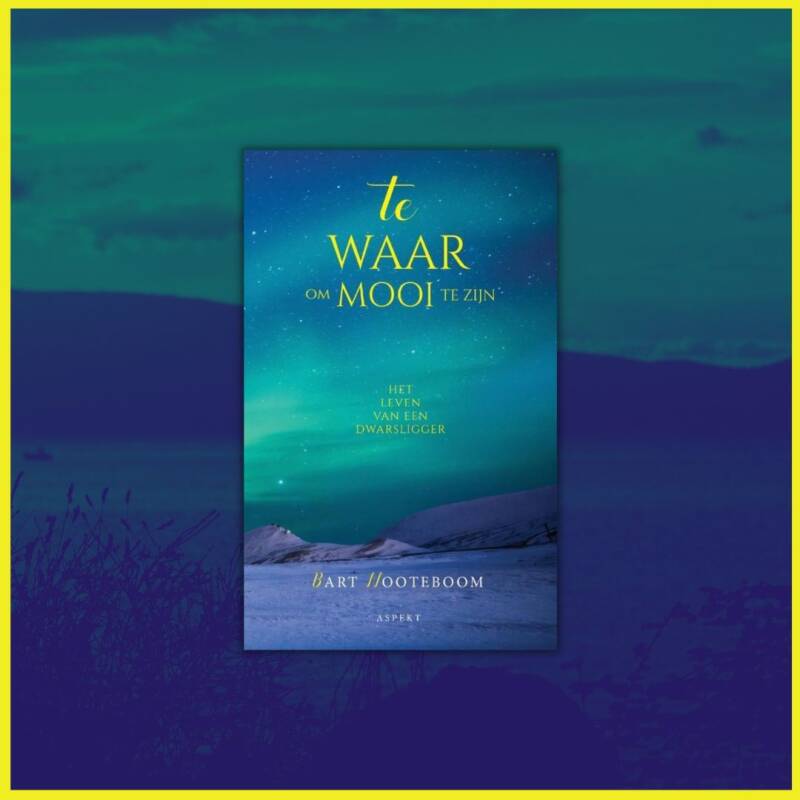 Boek Te waar om mooi te zijn van Bart Nooteboom.