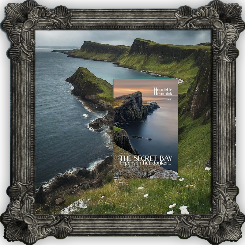 Boek The Secret Bay van Henriëtte Hemmink.