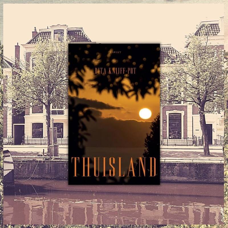 Boek Thuisland van Rita Knijff-Pot