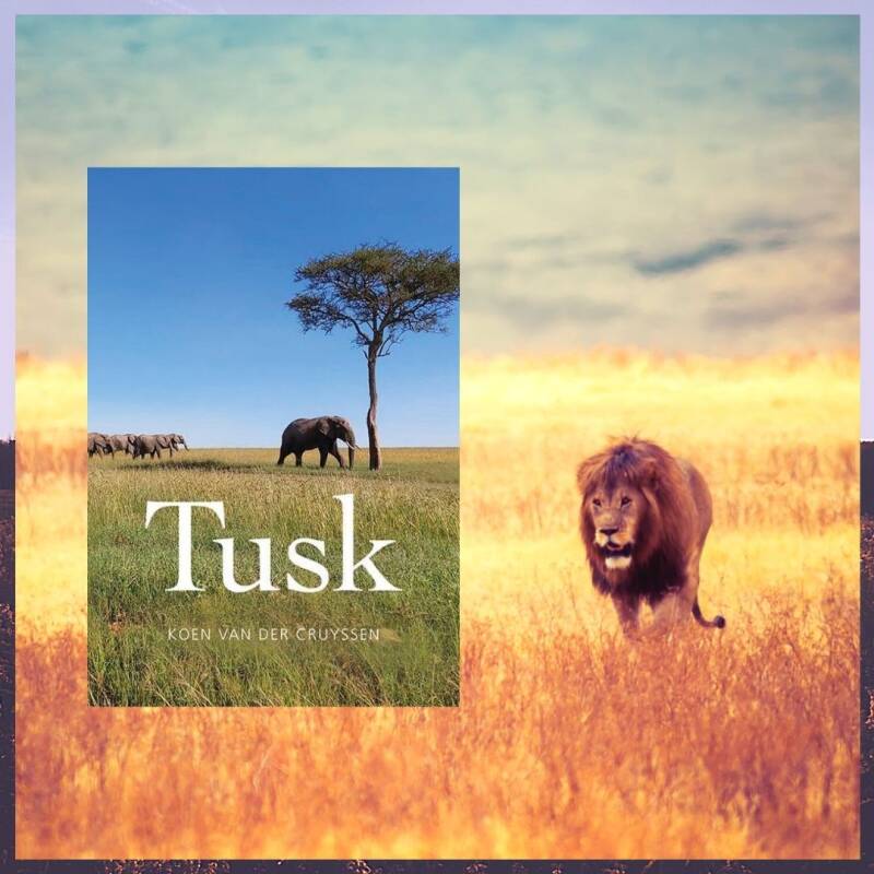 Boek Tusk - Koen van der Cruyssen.