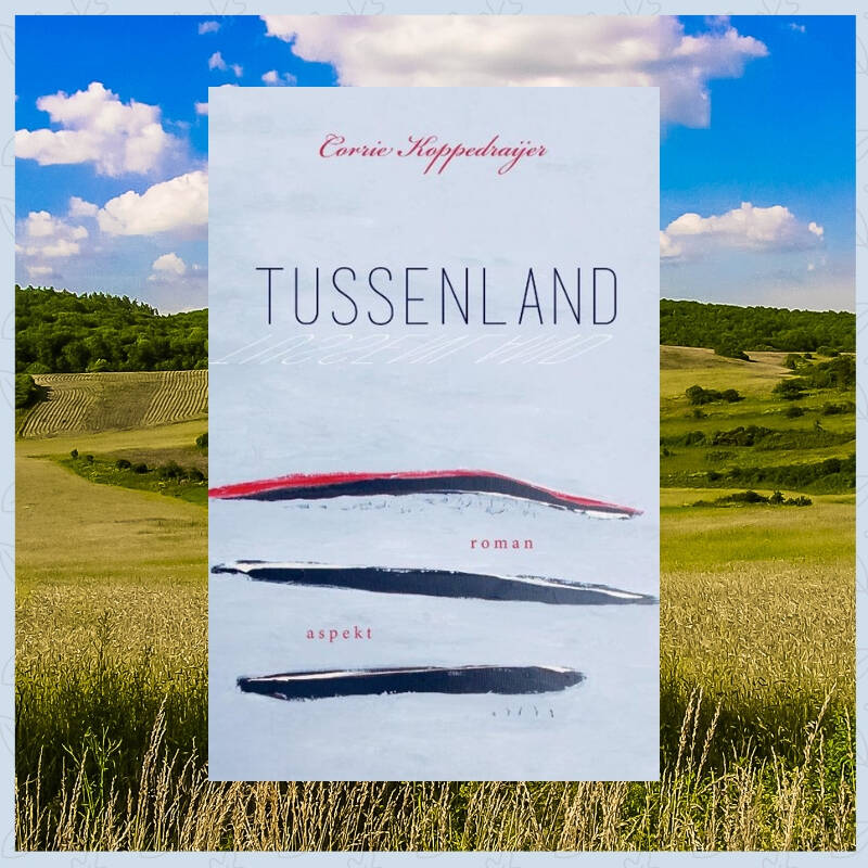 Boek Tussenland van Corrie Koppedraijer.