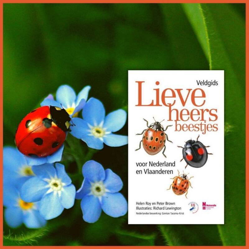 Boek Veldgids lieveheersbeestjes van Helen Roy en Peter Brown.