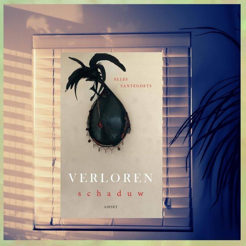 Boek Verloren schaduw van Elles Santegoets.