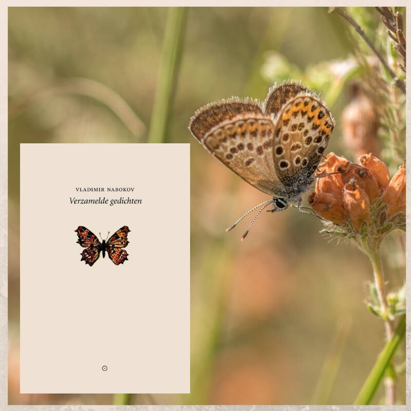 Boek Verzamelde gedichten van Vladimir Nabokov.