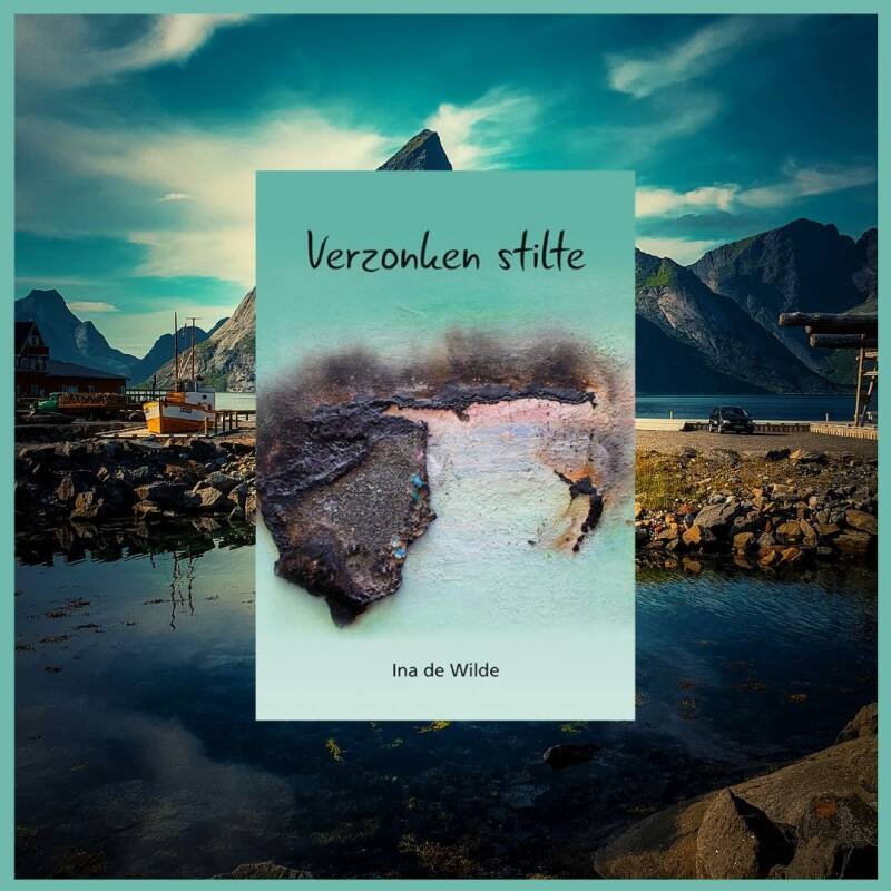 Boek Verzonken stilte van Ina de Wilde.