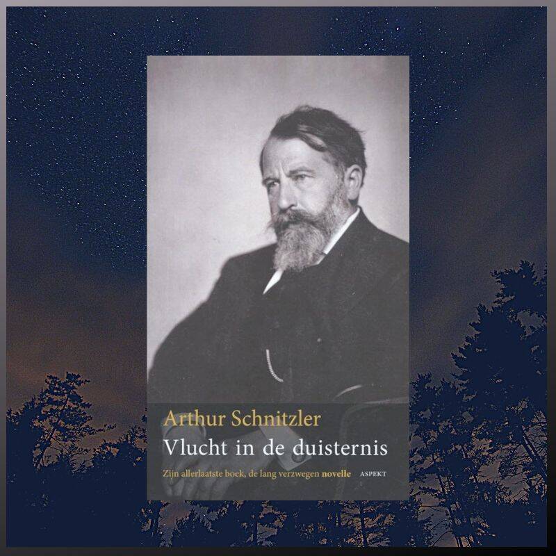 Boek Vlucht in de duisternis van Arthur Schnitzler.