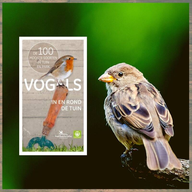 Boek Vogels in en rond de tuin van Helga Hofmann.