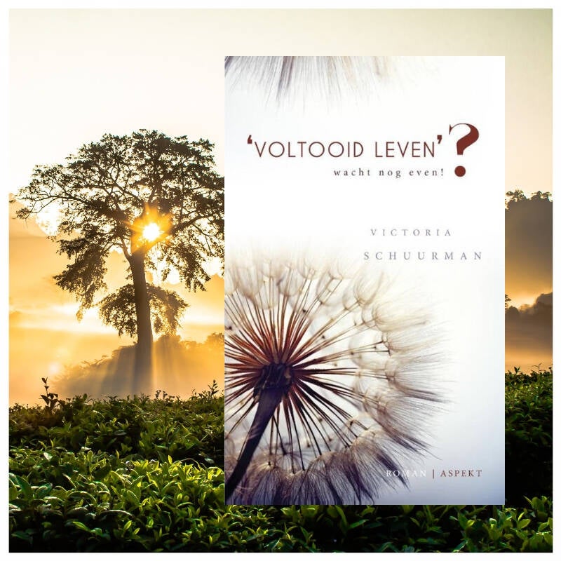 Boek 'Voltooid leven?' van Victoria Schuurman.