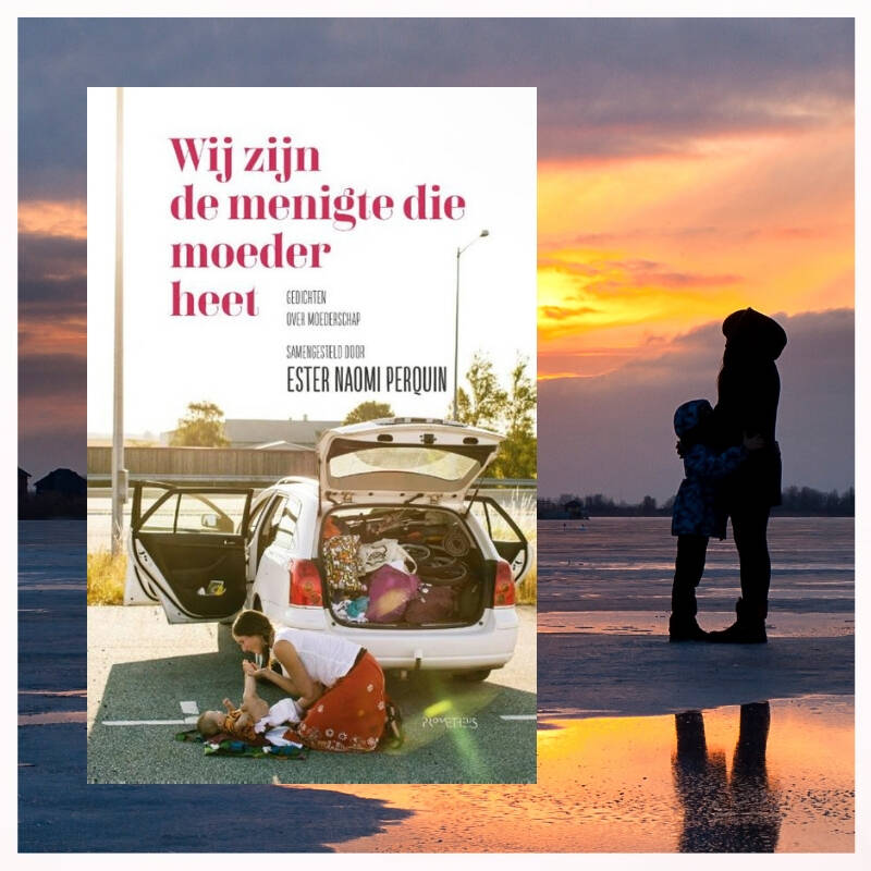 Boek Wij zijn de menigte die moeder heet
