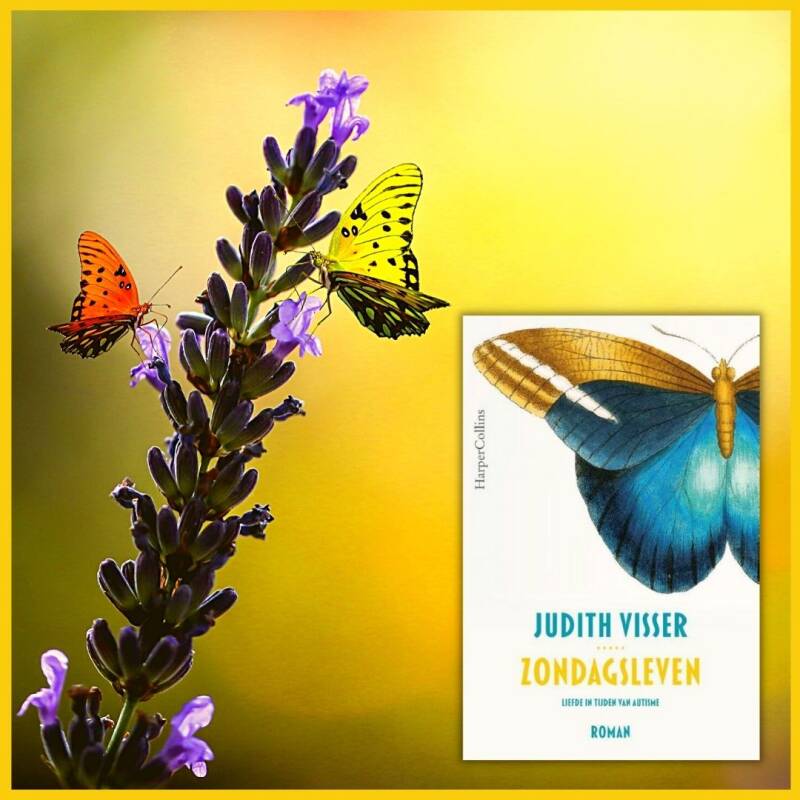 Boek Zondagsleven van Judith Visser.