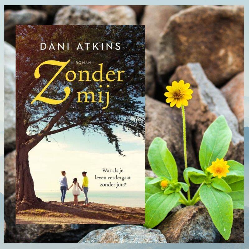 Boek Zonder mij van Dani Atkins.