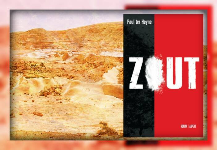 Boek Zout van Paul ter Heyne.