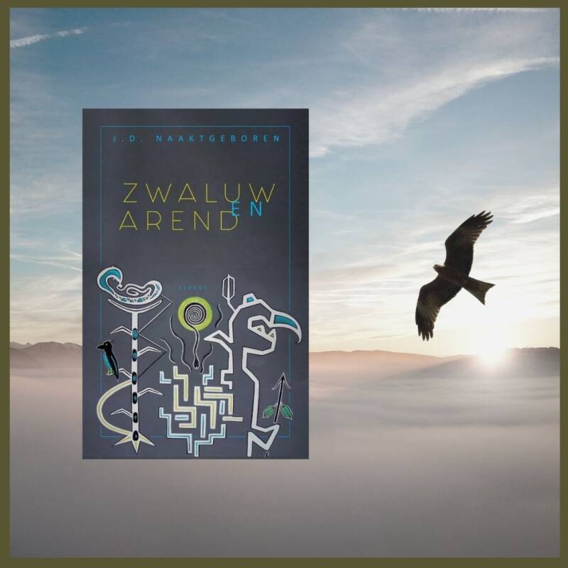 Boek Zwaluw en arend van J. D. Naaktgeboren.