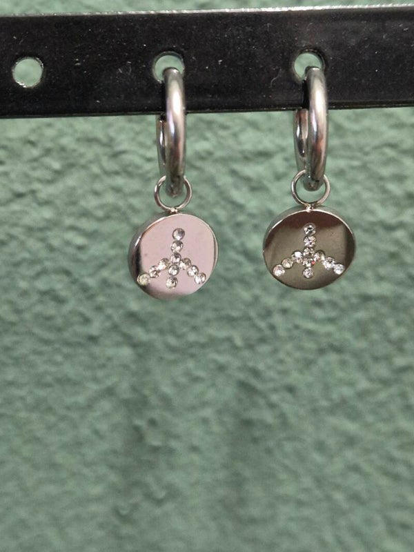 Oorbellen stainless steel