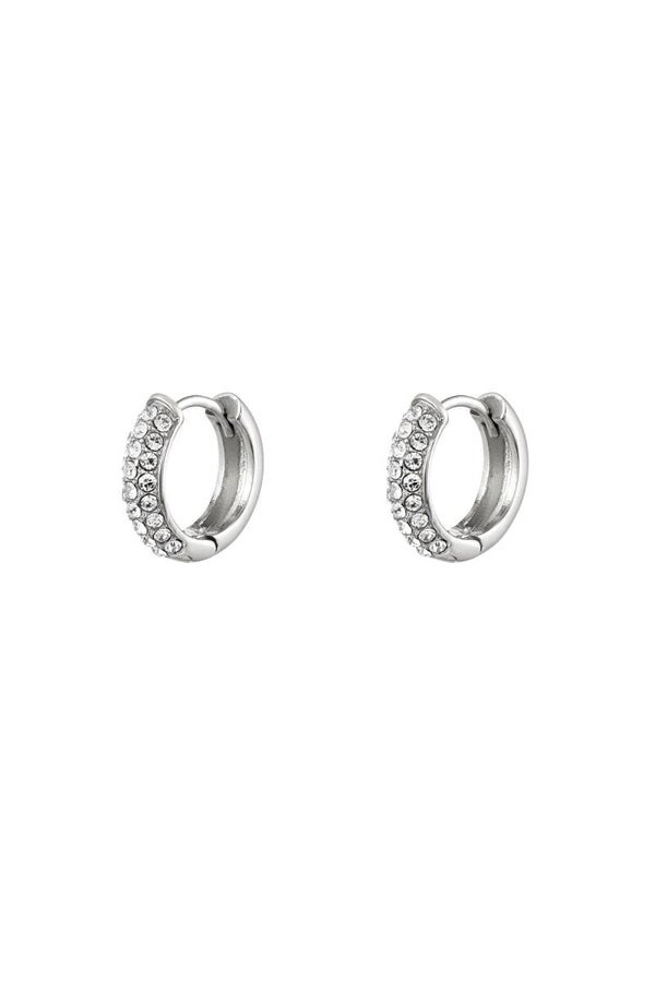 Oorbellen stainless steel
