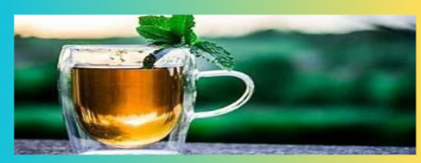 Paula’s Thee E-book