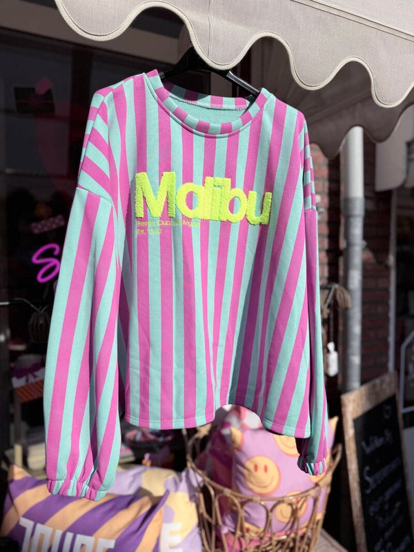Sweater Malibu roze/turqoise