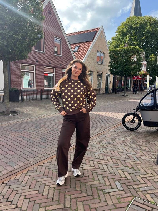 Stippen sweater - Bruin/geel