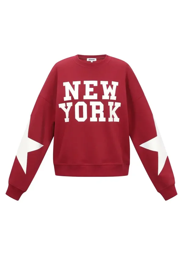Sweater New York Rood