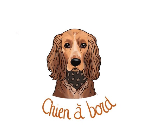 Chien à bord 🖤🐾