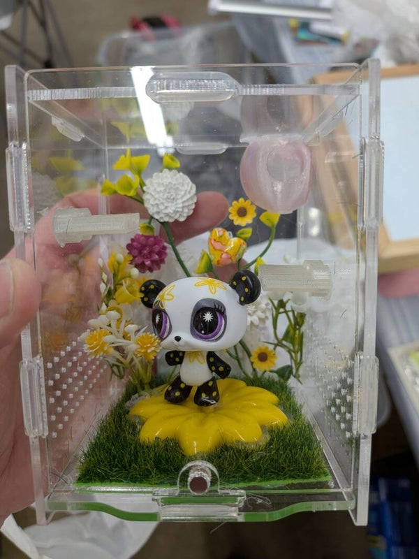 LPS Jumping Spider Enclosure with the Rare spring Panda