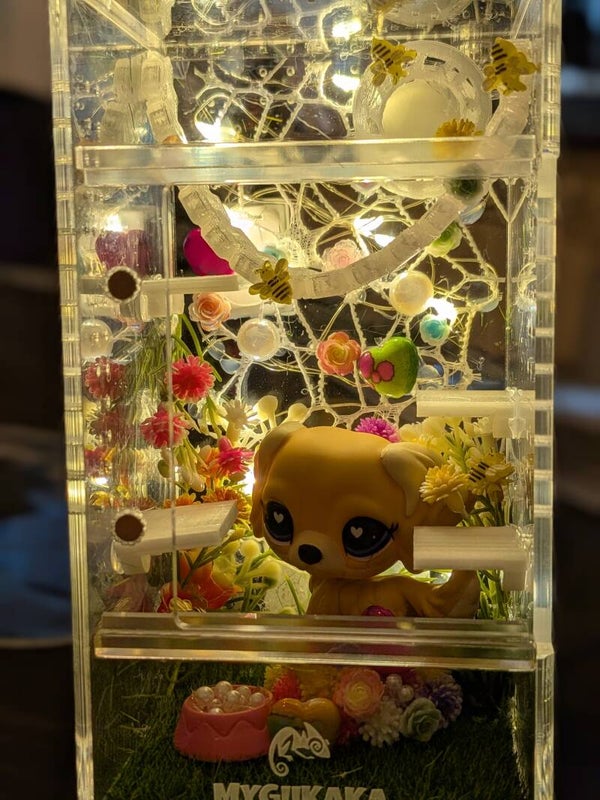 LPS light up dog med Jumping spider enclosure