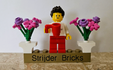 strijderbricks.com