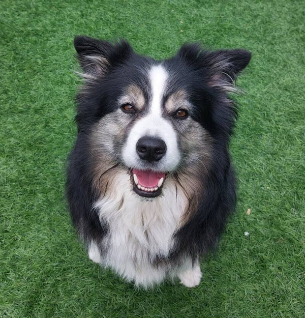 Focus!  (Dinsdagavond - februari - maart 2025).