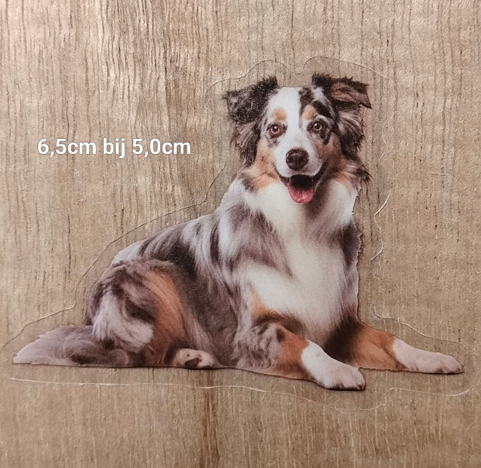 Sticker Australische Herder "Aussie"