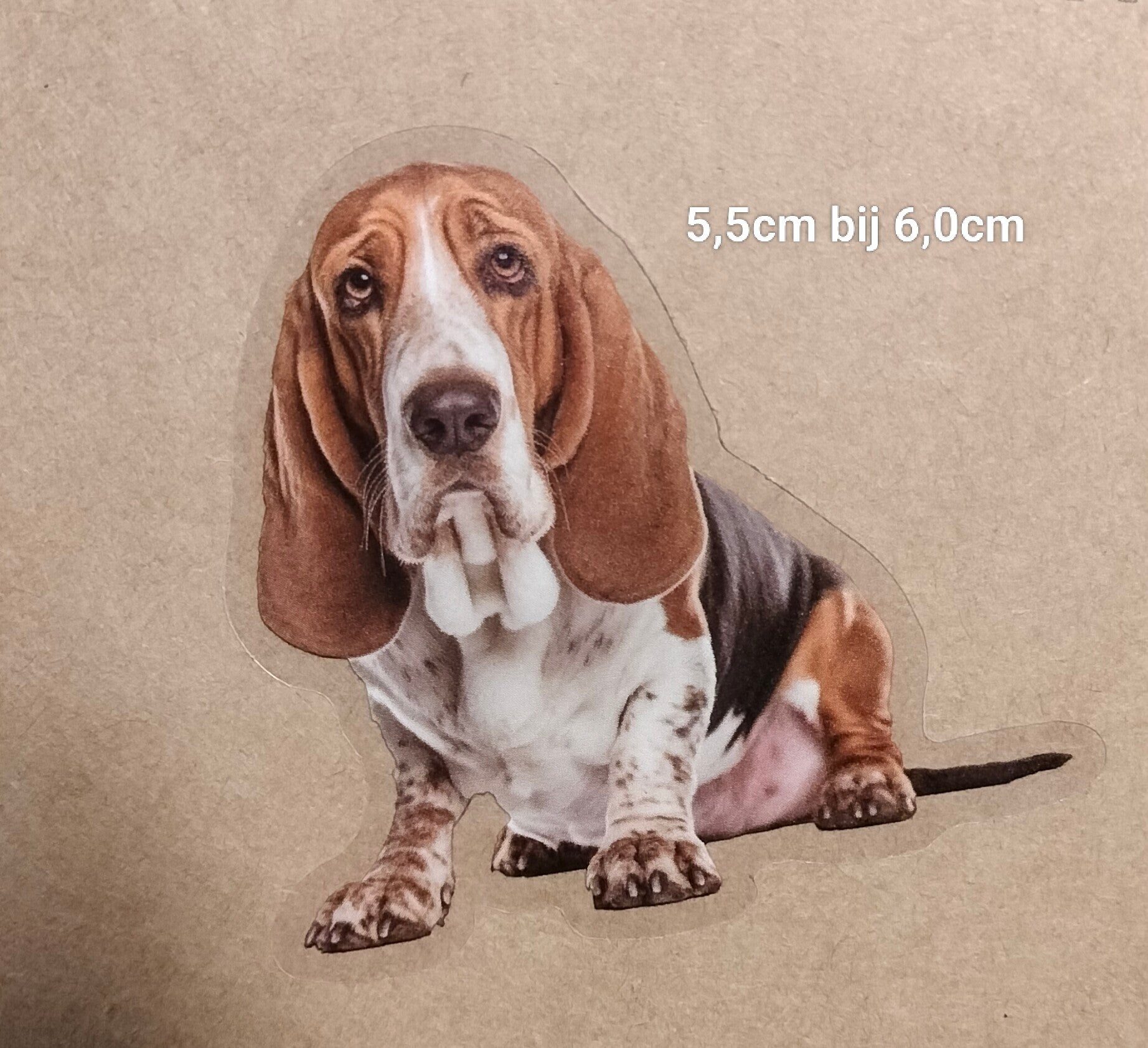 Sticker Basset Hound