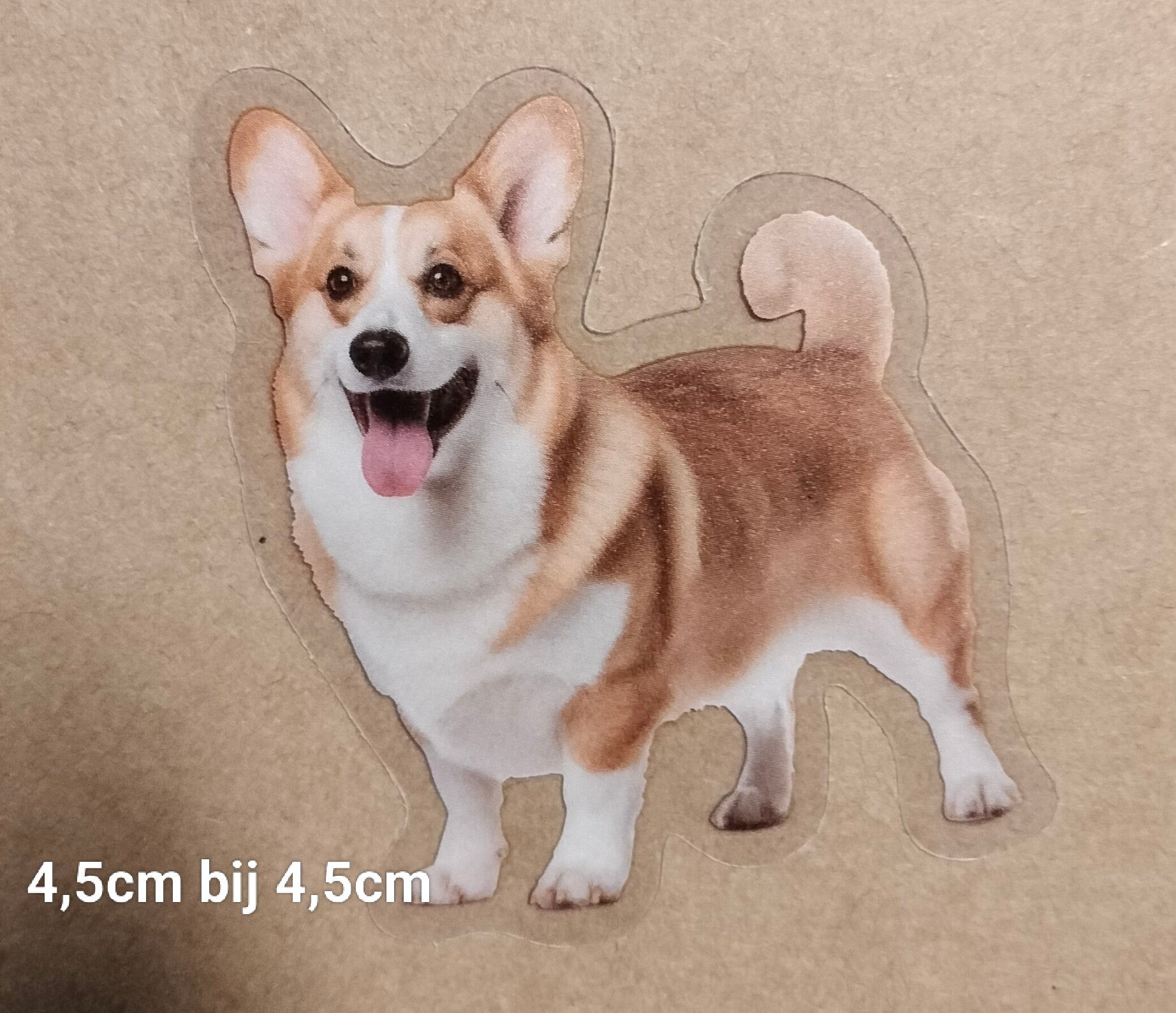 Sticker Corgi Hond