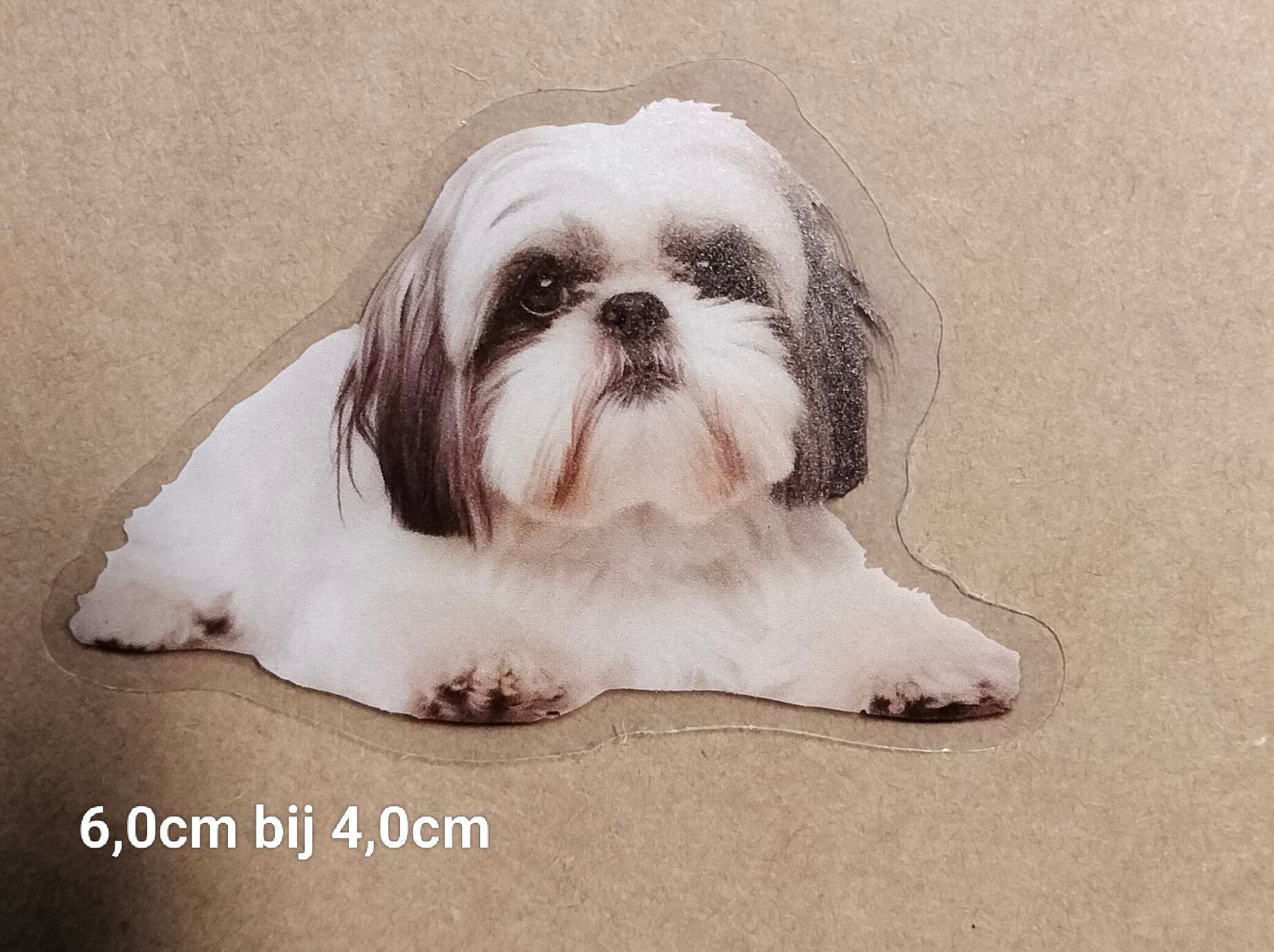 Sticker Shih Zhu