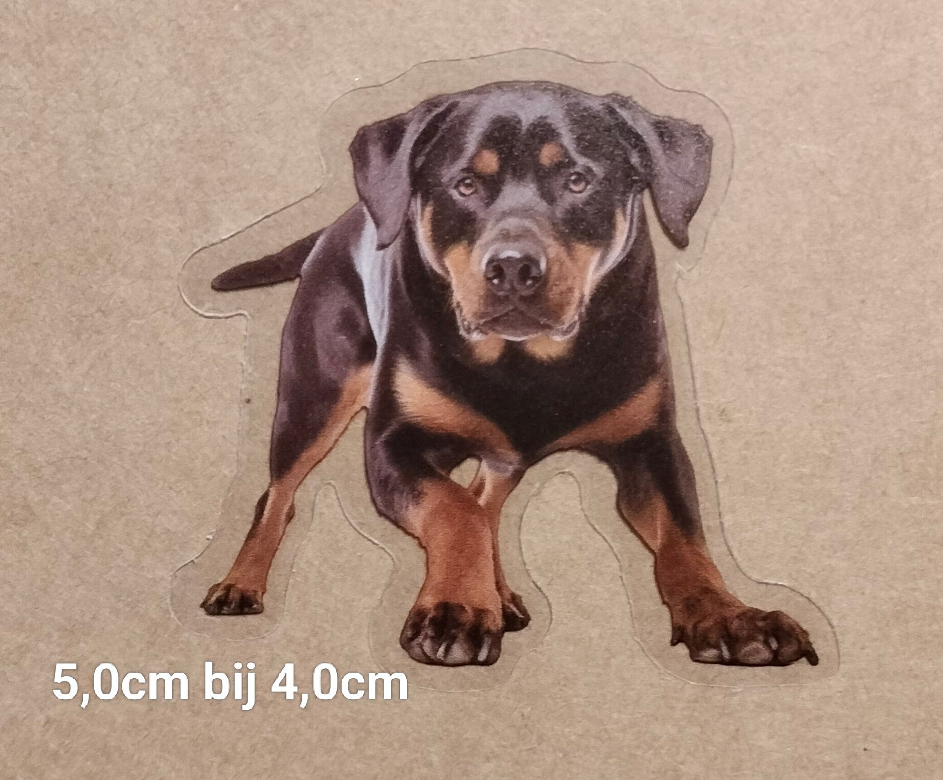 Sticker Rottweiler