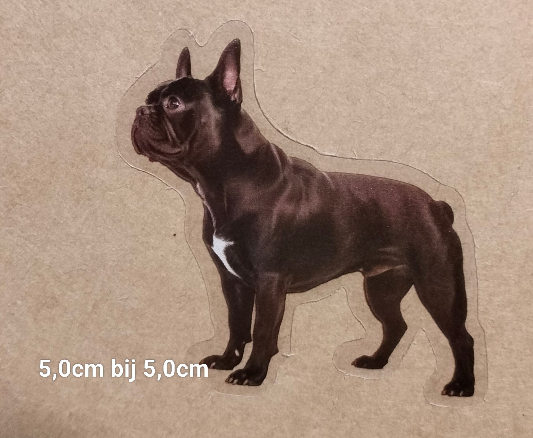 Sticker Franse Bulldog