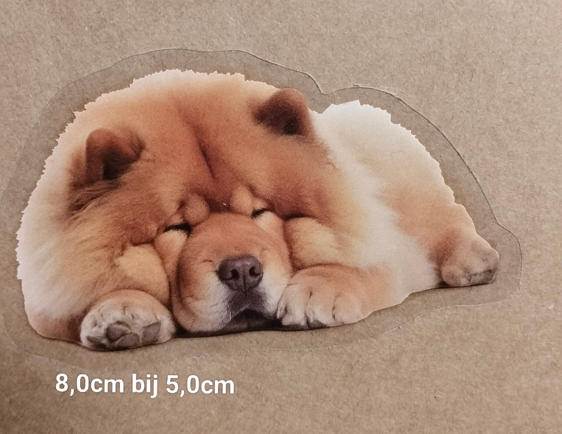 Sticker Chow Chow