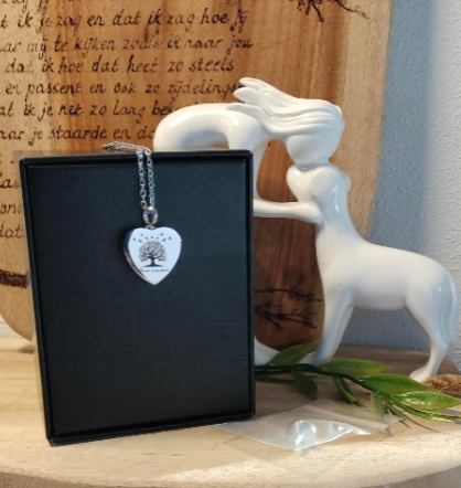 Zilverkleurig as-hangertje met ketting