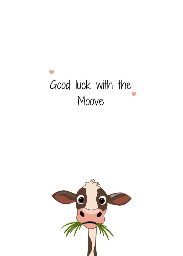 Good luck with the Moove
