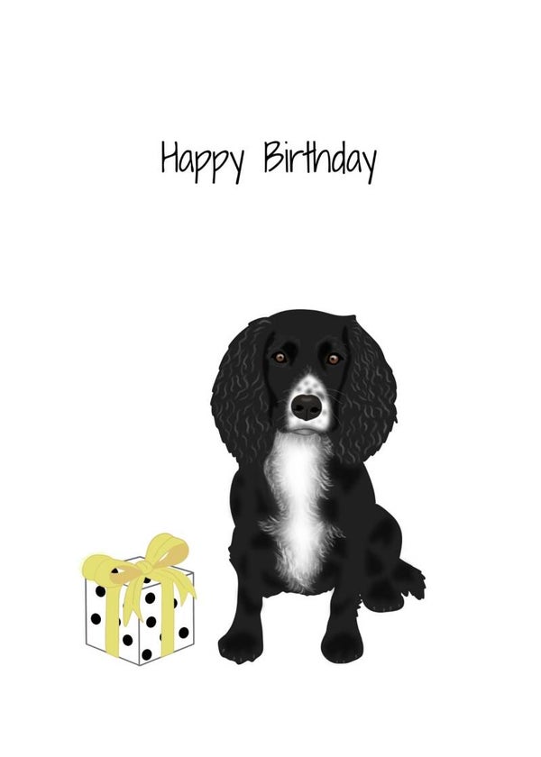 Happy Birthday Cocker