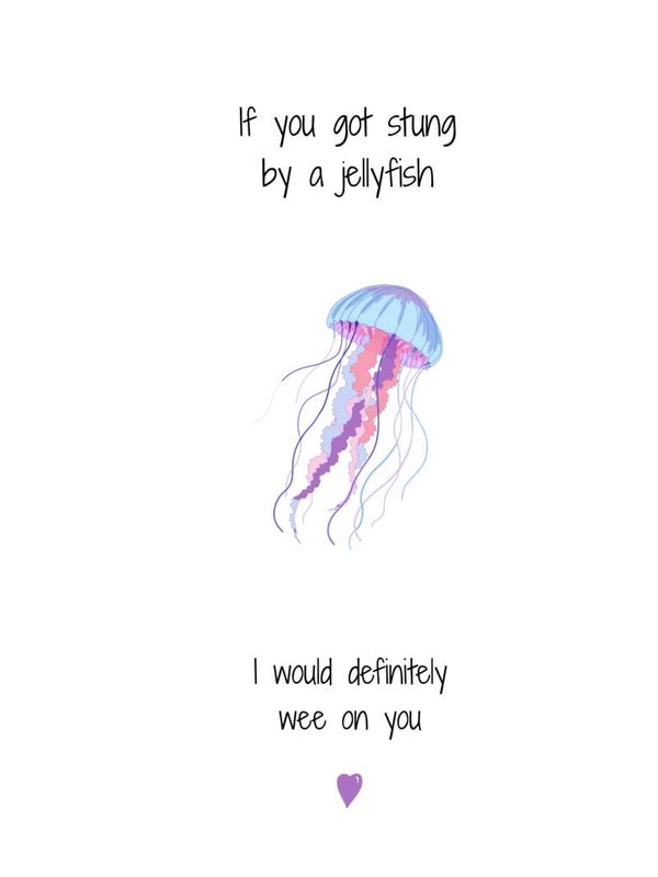 Jellyfish