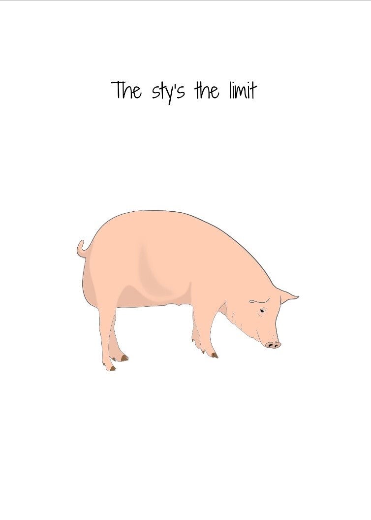 The sty’s the limit
