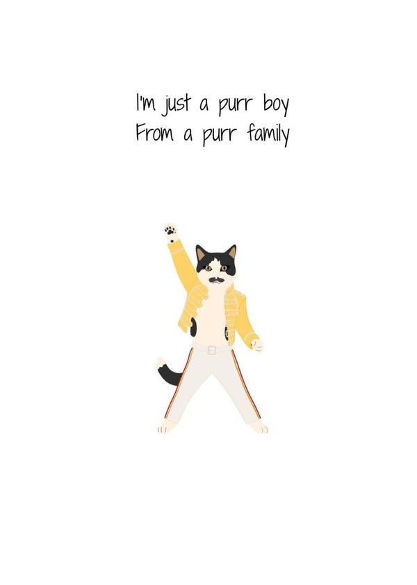 Purr boy
